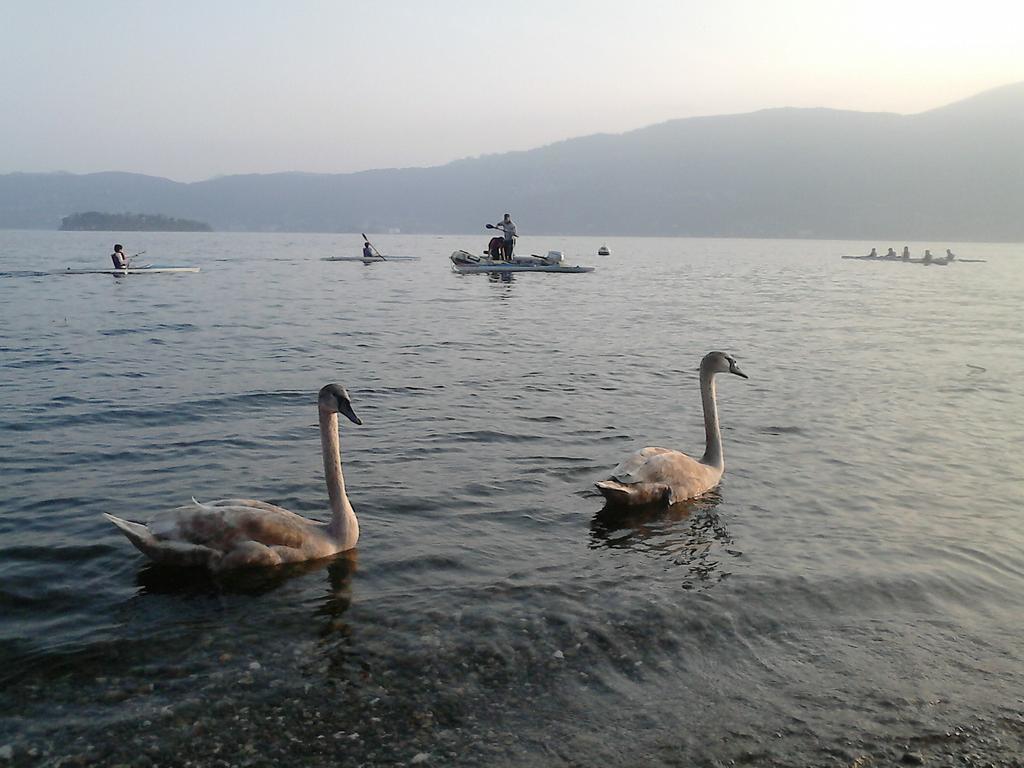 B&B Il Castello Lago Maggiore Con Terrazza Cossogno Kültér fotó